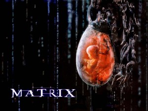 matrix-batterie humaine