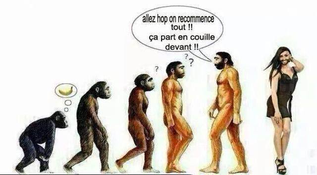 évolution