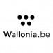 Nouveau logo pour la Wallonie: 537.000€