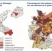 Les catholiques allemands votaient beaucoup moins pour les nazis