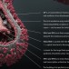 Création biogénétique du virus Ebola : info ou intox ?