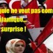 La Turquie “islamiste modérée” a soutenu l’Etat islamique