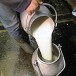 Enquête : La « guerre du lait » couve en France