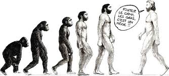 [Jeu] Association d'images - Page 19 Singe-HommeEvolution