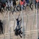 La Hongrie érige un mur pour empêcher les migrants d’entrer