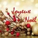 Joyeux Noël à tous !