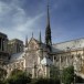 Notre-Dame de Paris décommande son sapin