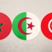 Suisse: Les pays du Maghreb ne reprennent pas leurs criminels et le CF continue à les soutenir à coups de millions