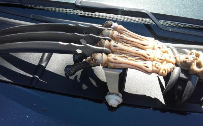 105234332_weapon_migrants_FOREIGN-large_trans++NJjoeBT78QIaYdkJdEY4Cl-p60QdeVSMOQCpDAhRog0