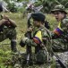 Narcotraficants des FARC intégrés à la société ?