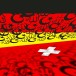 La Suisse, le pays où fleurissent les jihadistes