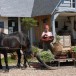 Une petite ferme normande devient un modèle dans le monde entier