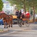 Zurich. Un voyage en calèche en France aux frais du contribuable comme mesure thérapeutique pour un mineur biélorusse violent.