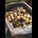 Italie. Oderzo: Des Italiens souffrent de faim pendant que des prétendus réfugiés jettent la nourriture qu’on leur donne. (Vidéo)