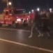 Maroc: Harcelée en pleine rue par une horde d’hommes. (Vidéo)