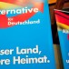 Selon la gauche médiatique l’AfD serait carrément néonazie