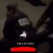 Réveillon en France: Une policière rouée de coups par des jeunes issus de l&rsquo;immigration (Vidéos) [Mise à jour]