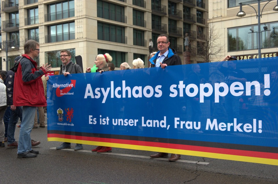 AfD rally in Berlin