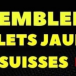 Une page Facebook réunissant une centaine de membres appelait à manifester hier dans les gares. A Lausanne, ils étaient trois contre cinq!