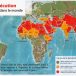 « Onze chrétiens sont tués chaque jour dans le monde en raison de leur foi »