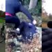 Gorinchem : des vidéos de lynchages de jeunes Néerlandais indignent les Pays-Bas