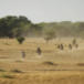 Horreur au Burkina : 14 morts lors d’une attaque contre une église protestante