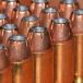 Les pays du V4 centralisent leurs achats de munitions de petit calibre