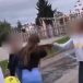 Argovie : Un gang de filles sème la terreur à Reinach (Vidéo)