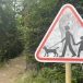 Loup. Des panneaux anti-loup fleurissent en Valais, le WWF s’indigne, Le Nouvelliste 20.07.2023
