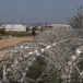 Immigration. À Chypre, plus d’expulsions que d’arrivées de clandestins en 2023