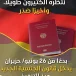 Le dernier délire d’Annalena Baerbock (Verts): publicité en arabe pour le passeport allemand