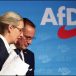 Le parlement allemand débat de l’interdiction de l’Afd