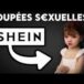 Shein : « Il faut assumer une position ferme, quitte à engager un bras de fer avec Bruxelles », VA, 08.11.2025