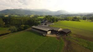 Vols dans les fermes françaises : ce que révèle l'étude du ministère de l'Intérieur