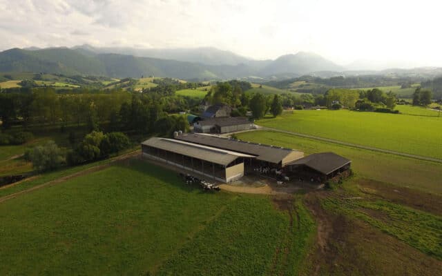 Vols dans les fermes françaises : ce que révèle l'étude du ministère de l'Intérieur