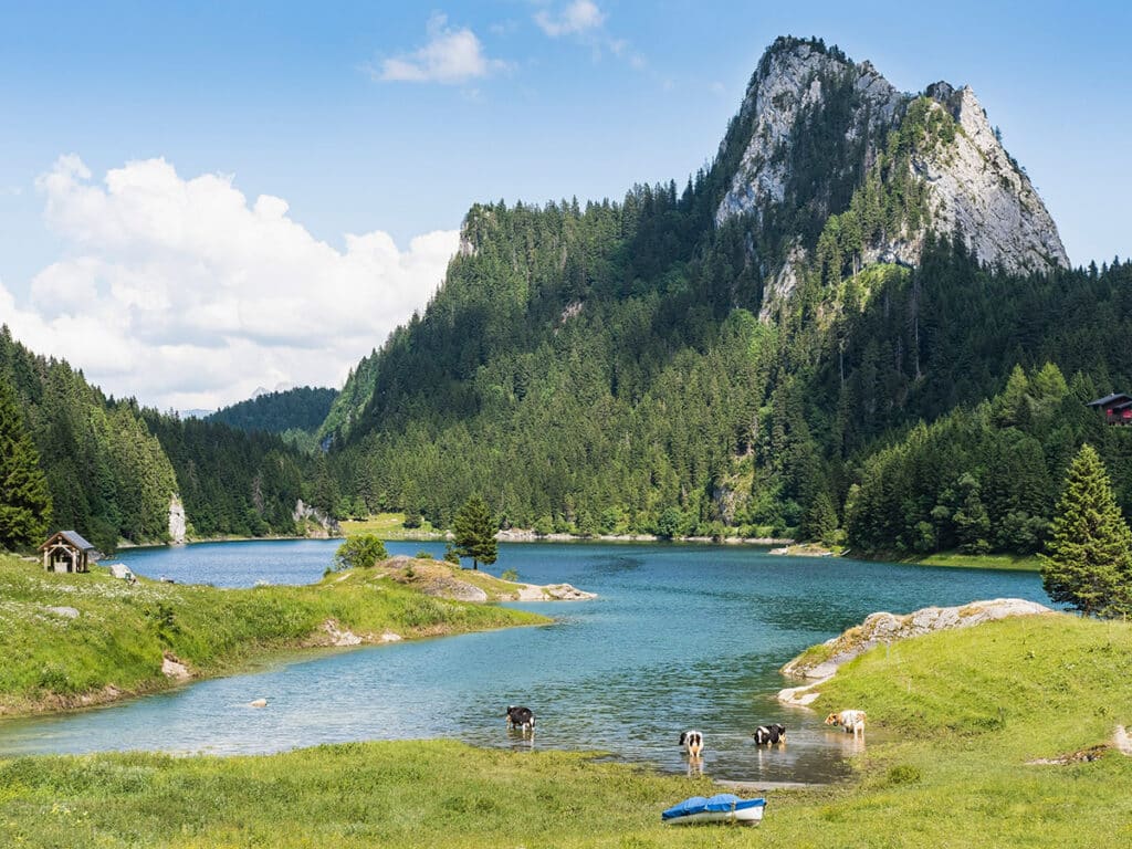 Le lac de Taney et Le Tâche vus depuis le hameau de Taney. Photo : © Christian David (CC BY 4.0)