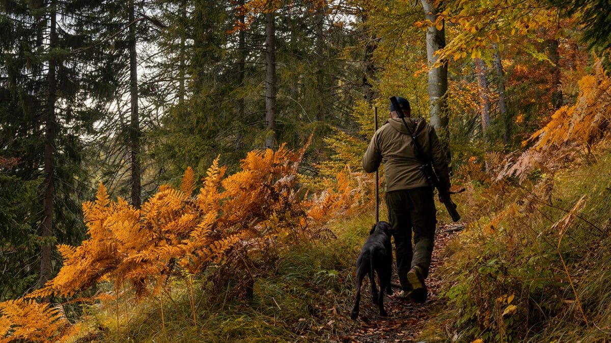 Allemagne : l’État désarme ses opposants, à commencer par les chasseurs