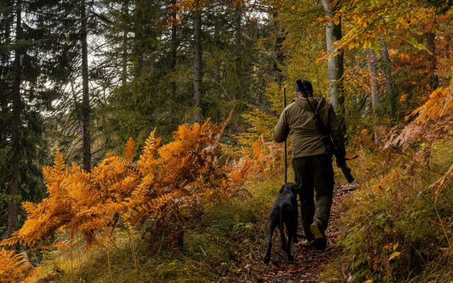 Allemagne : l’État désarme ses opposants, à commencer par les chasseurs
