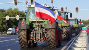 Pays-Bas : le plan azote sacrifiera le cheptel sans même libérer les autorisations