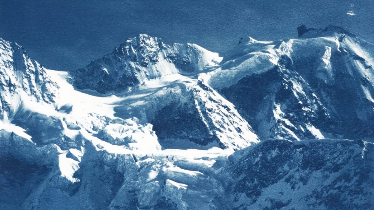 Cyanotype sauvage